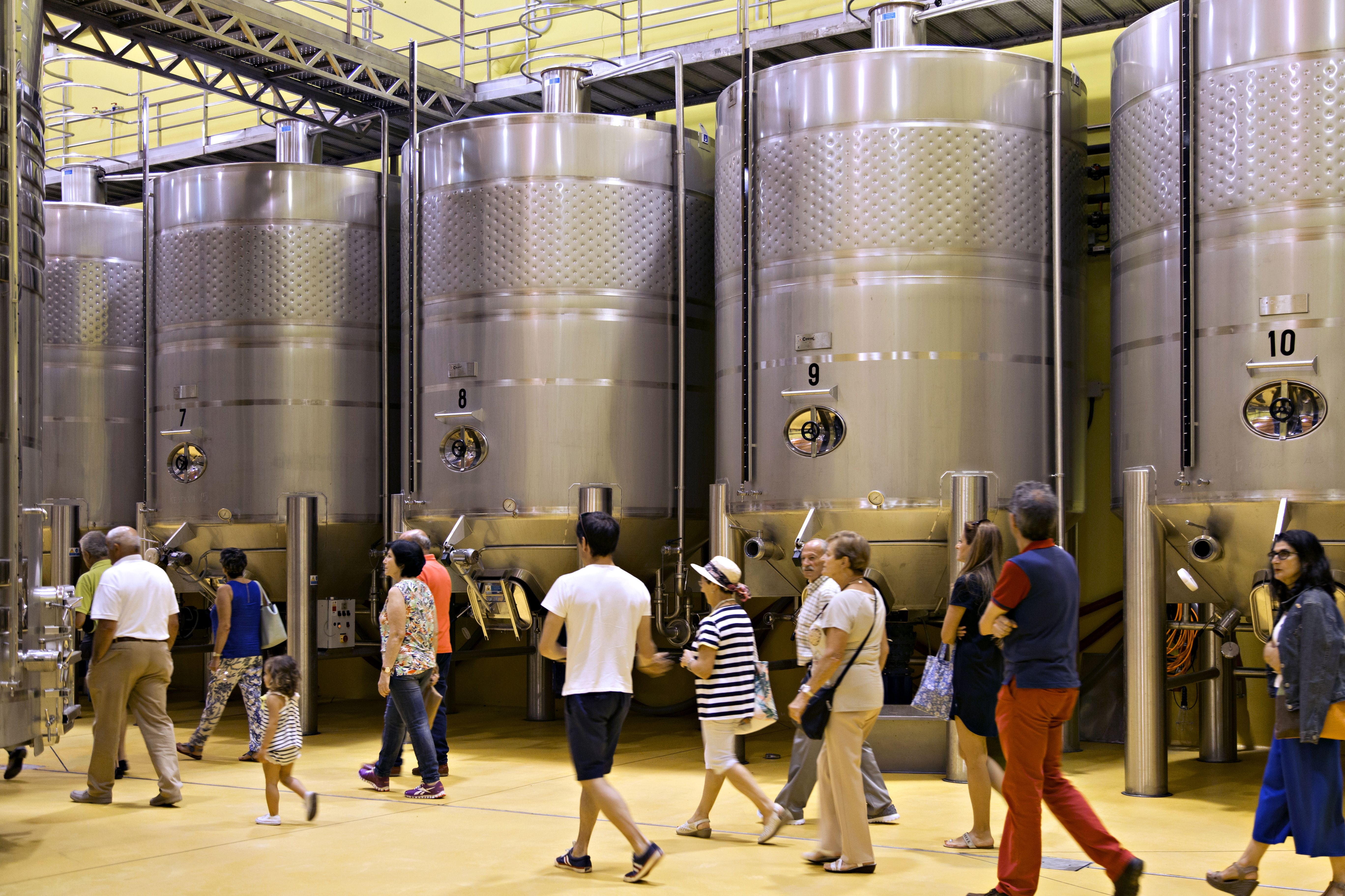 Enoturismo Rioja Alta Hacienda El Ternero Puertas Abiertas 2018