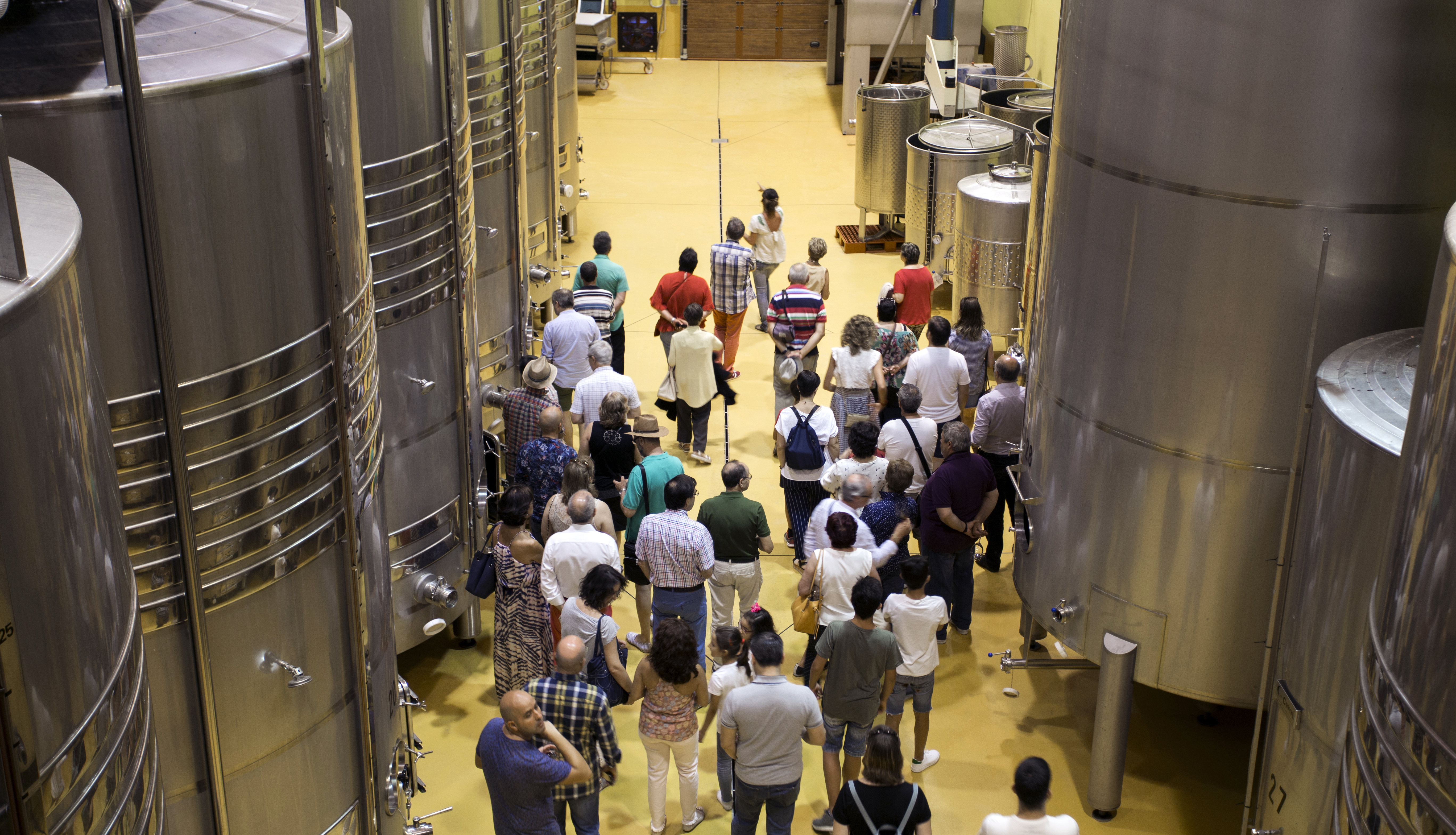 Enoturismo Rioja Alta Hacienda El Ternero Puertas Abiertas 2018
