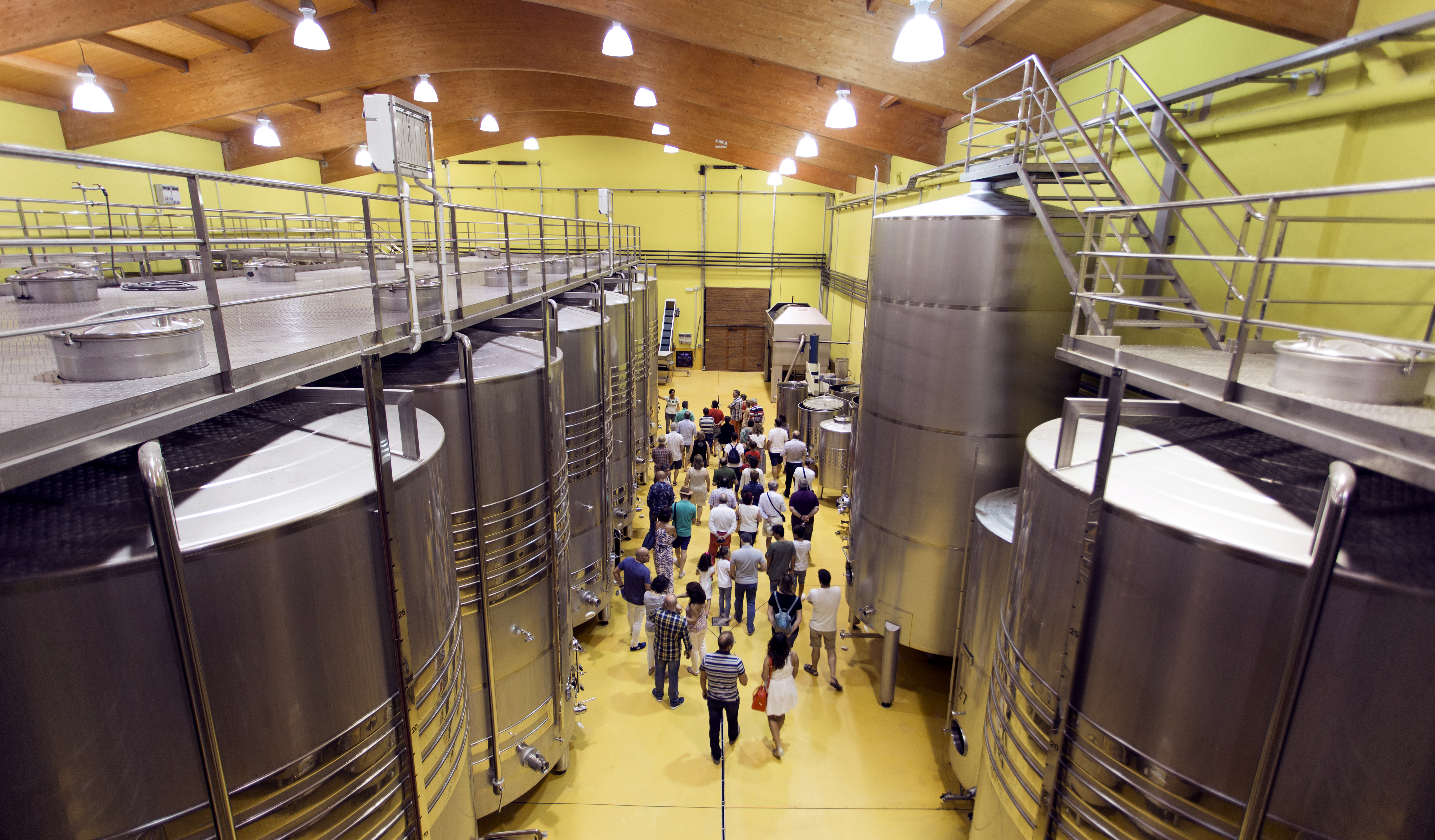 Enoturismo Rioja Alta Hacienda El Ternero Puertas Abiertas 2018